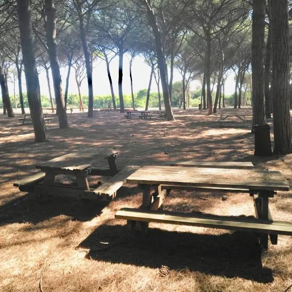 Università Agraria Tarquinia, riaperta al pubblico l’area picnic a Spinicci