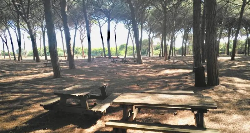 Università Agraria Tarquinia, riaperta al pubblico l’area picnic a Spinicci