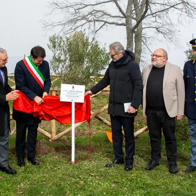 Un albero d’ulivo per ricordare Giovanni Palatucci
