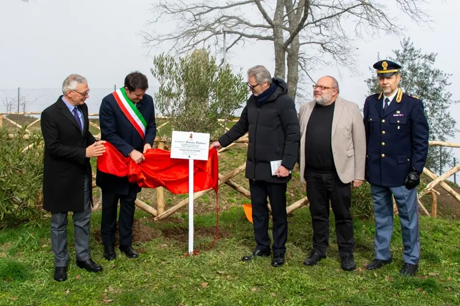 Un albero d’ulivo per ricordare Giovanni Palatucci