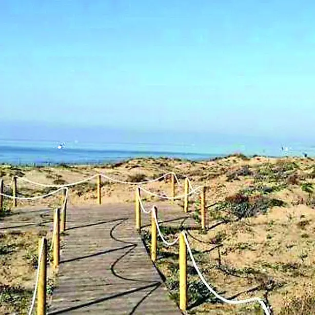 Blitz anti abusivismo: sgomberata la spiaggia delle dune a Passoscuro