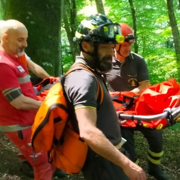Escursionista si infortuna nella faggeta del Monte Cimino