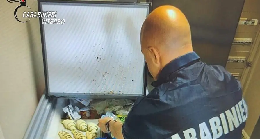 Controlli dei Nas a Viterbo: sospesa l’attività di una pizzeria-kebab