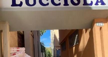 Elena Giogli: «Cassonetti dell’immondizia stracolmi all’ingresso dell’arena Lucciola di Santa Marinella»