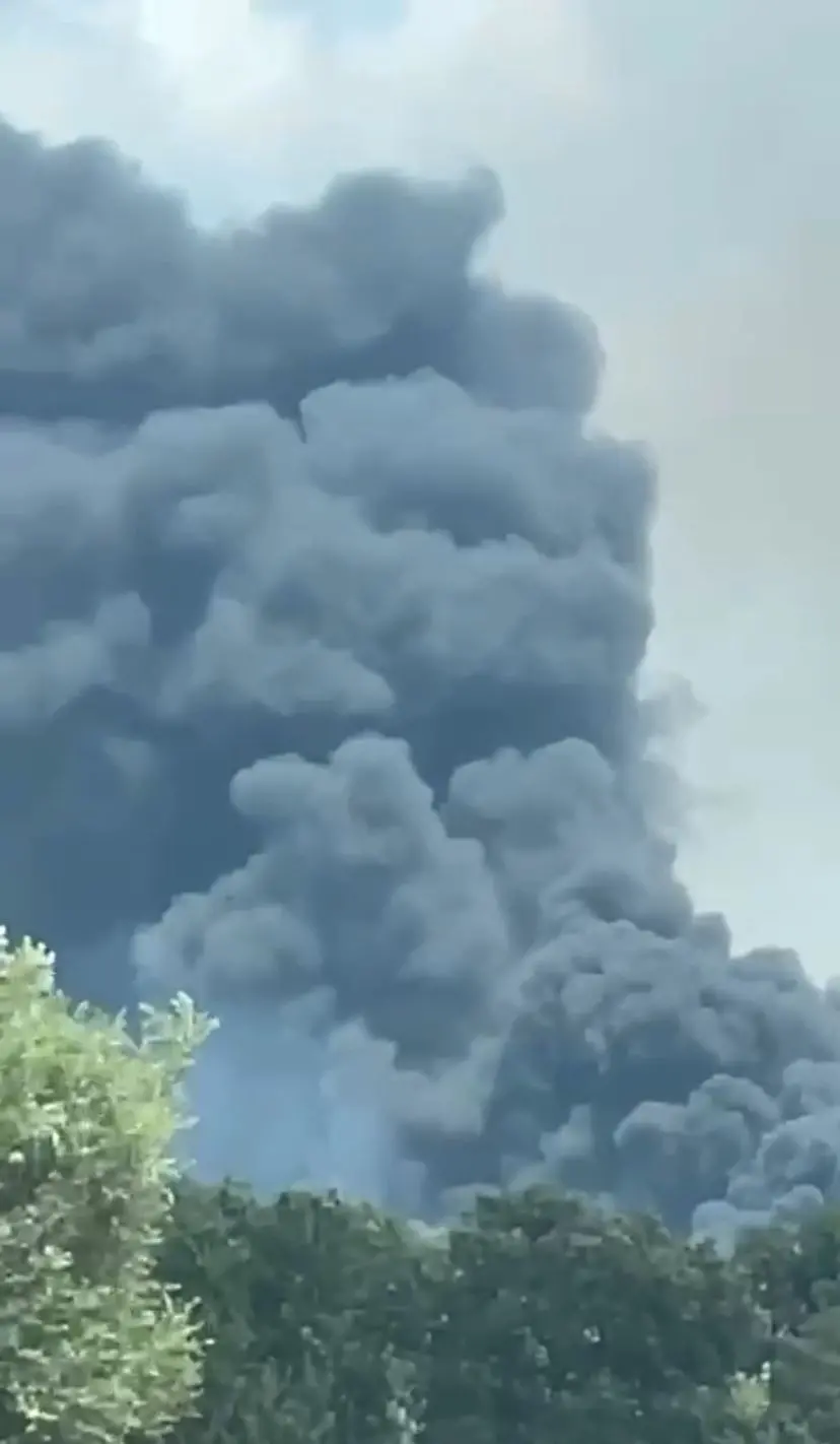 Vasto incendio nelle campagne di Montalto di Castro: lambita azienda agricola