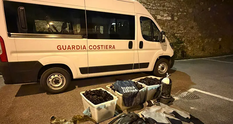 Capitaneria di porto, guerra alla pesca abusiva di ricci di mare