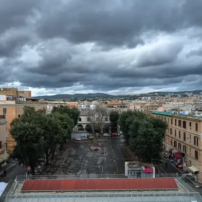 Angeloni: «La strage dei Lecci a Civitavecchia, bastava guardare su Amazon»