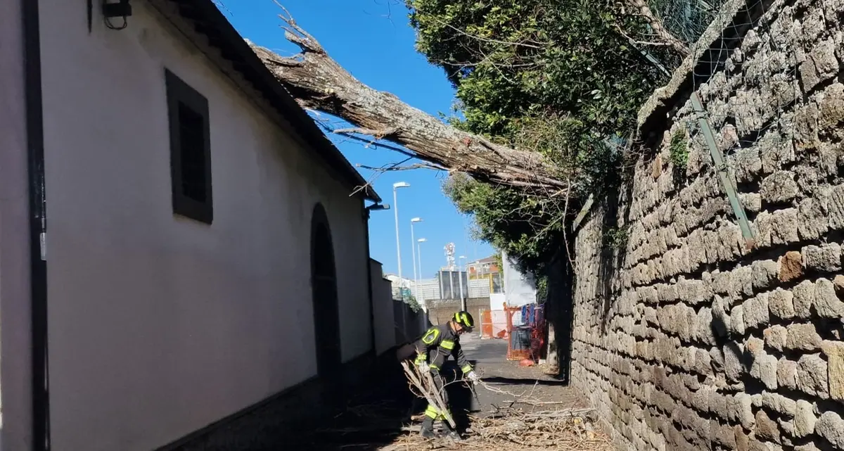 Viterbo: albero cade per il forte vento sul tetto di un’autofficina