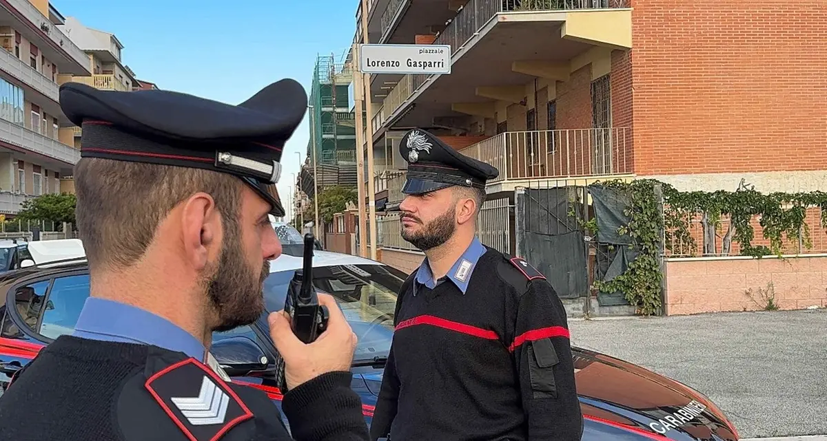 Maxi blitz dei carabinieri: in campo unità specializzate, un elicottero e unità cinofile