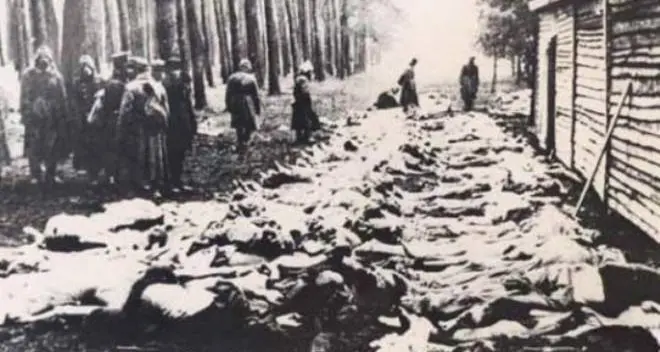 “Nel nome del Ricordo: Le Foibe e l’Esodo”