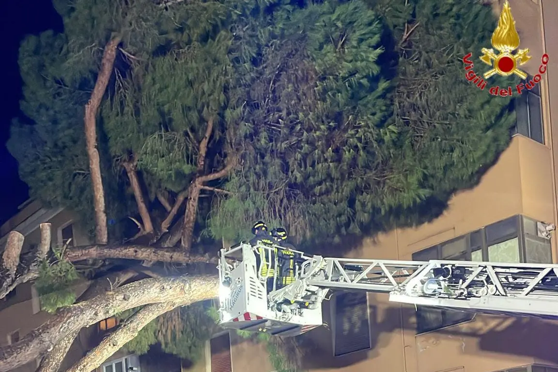 Due pini crollano su una palazzina: notte di lavoro per i Vigili del fuoco