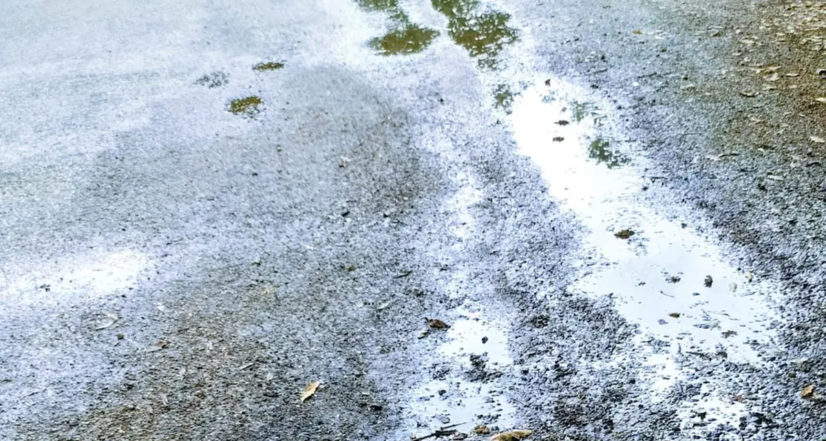 «La ciclabile di Palo è piena di buche: si intervenga»