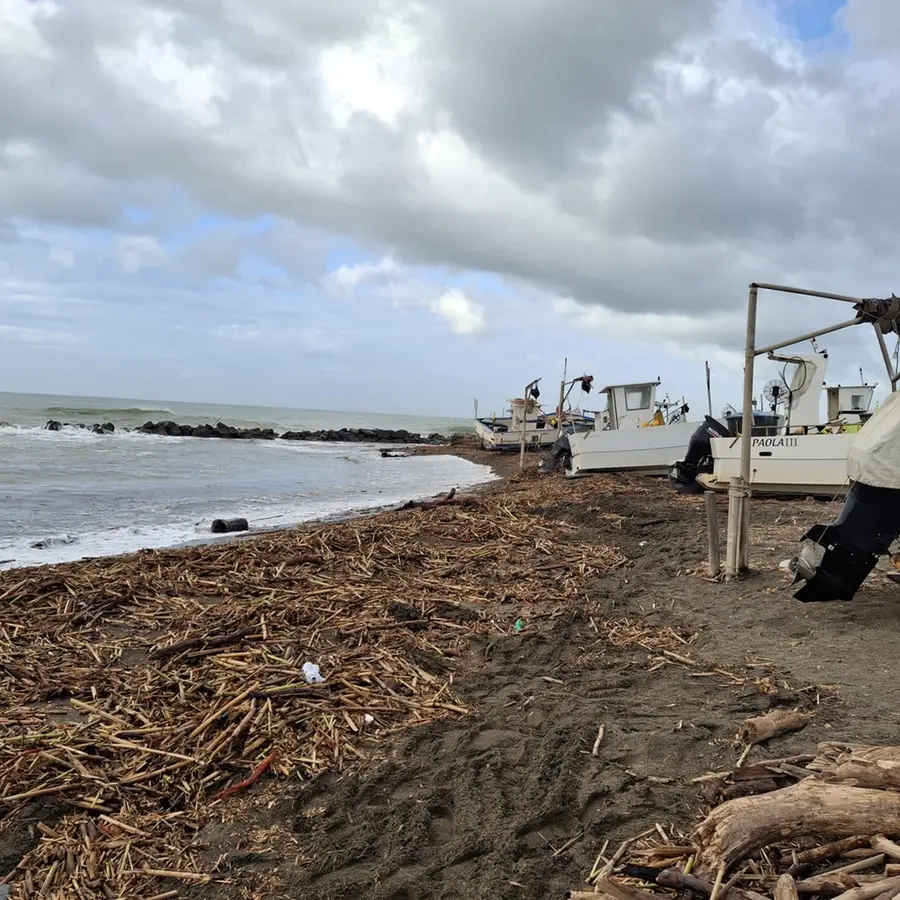 Canne e tronchi in spiaggia: i pescatori restano a terra