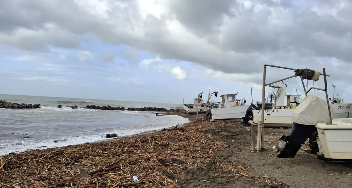 Canne e tronchi in spiaggia: i pescatori restano a terra