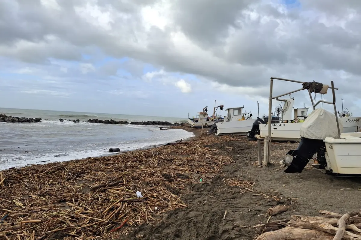Canne e tronchi in spiaggia: i pescatori restano a terra