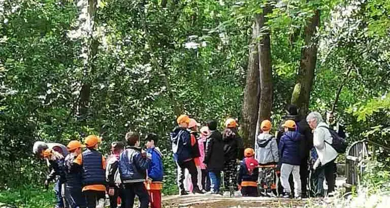 Bosco di Valcanneto: affidato l’incarico per il Progetto di Utilizzazione Forestale