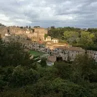 «Raccolta differenziata oltre il 79%»