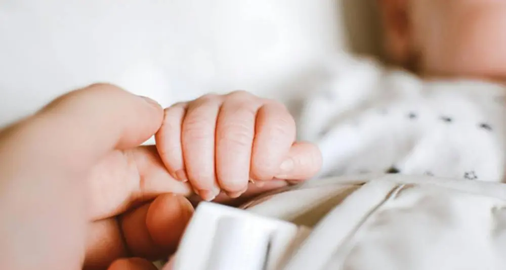 Movimento per la vita, ecco tutti gli aiuti per le famiglie