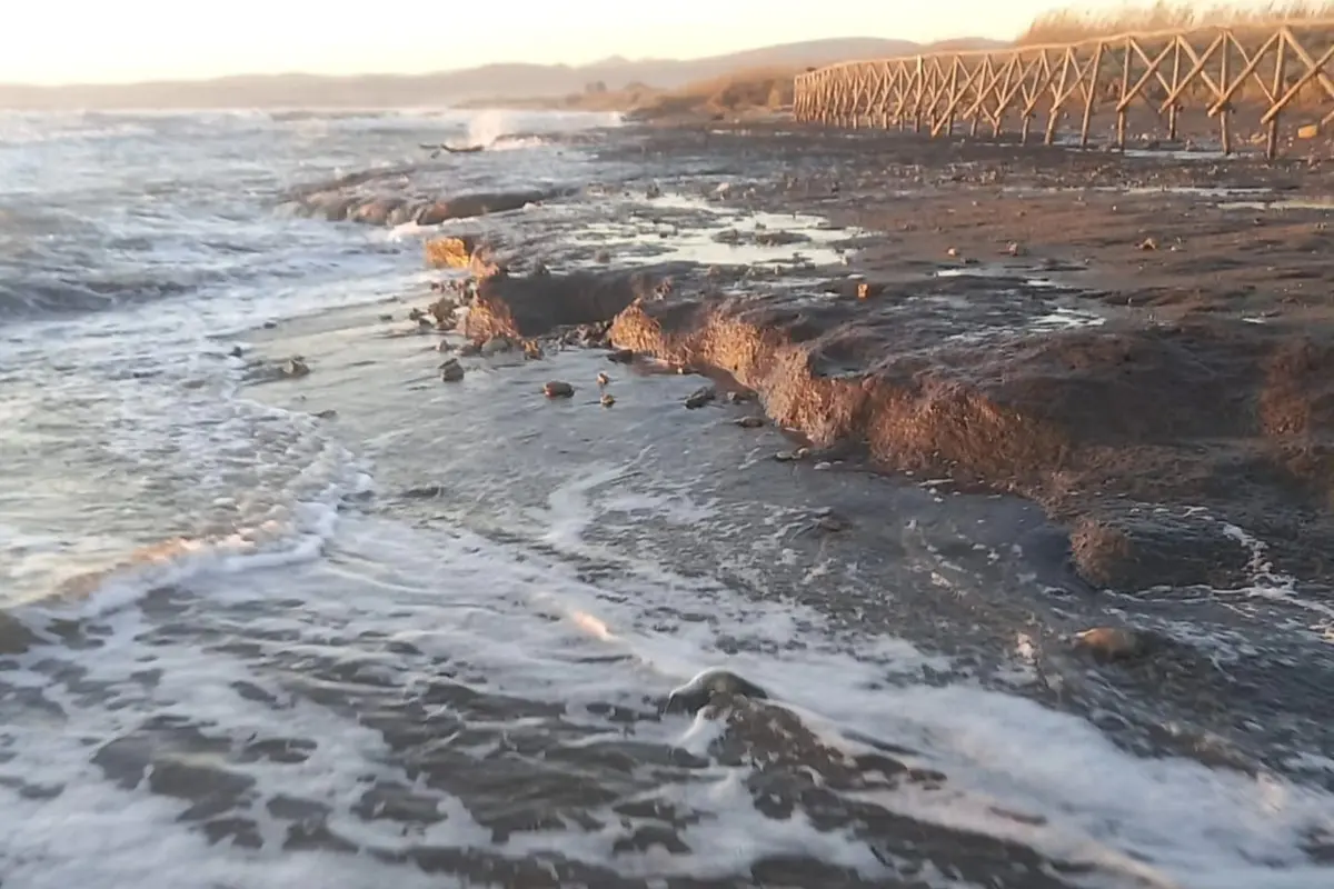 Il caso della Palude approda in Regione