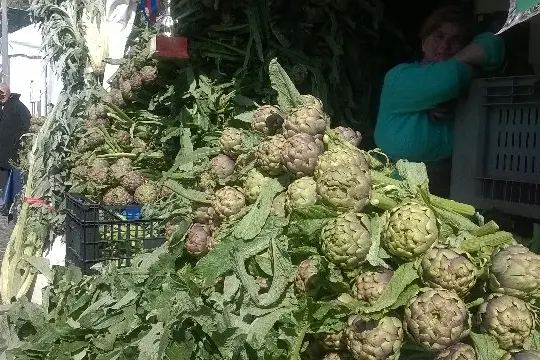 «Sagra del carciofo, le attività del territorio partecipino»