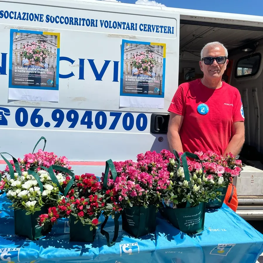 Per la festa della Mamma tornano le Azalee Airc