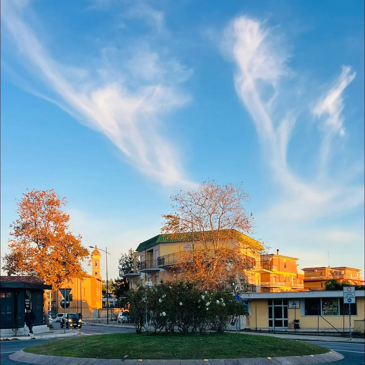 Arrivano le aiuole sponsorizzate