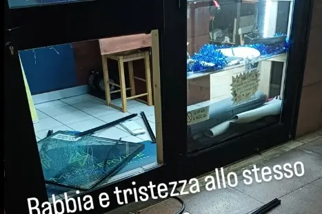 Colpo al calzolaio Lampo service