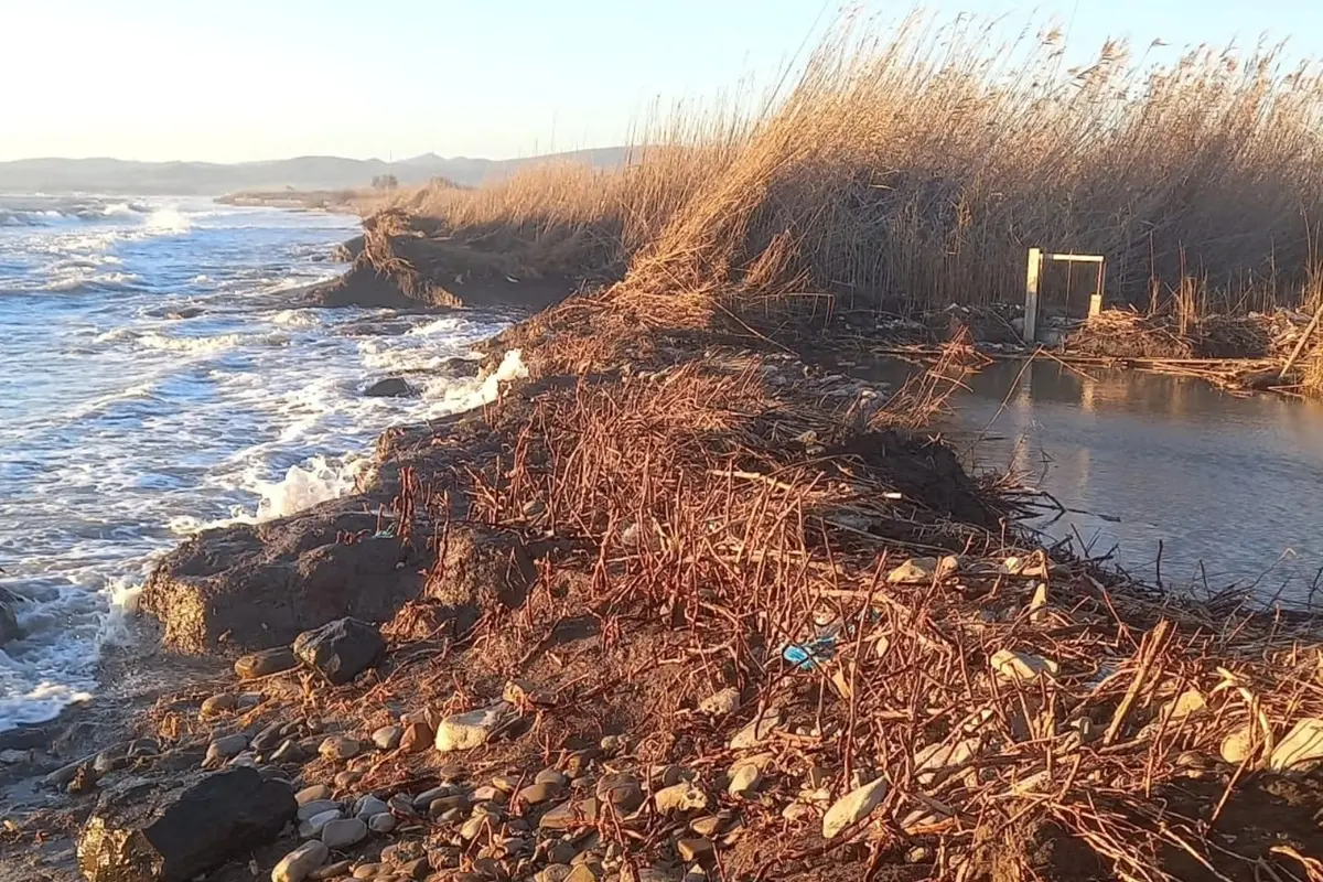 Il mare rompe gli argini ed entra in Palude. La sindaca: «La Regione intervenga»