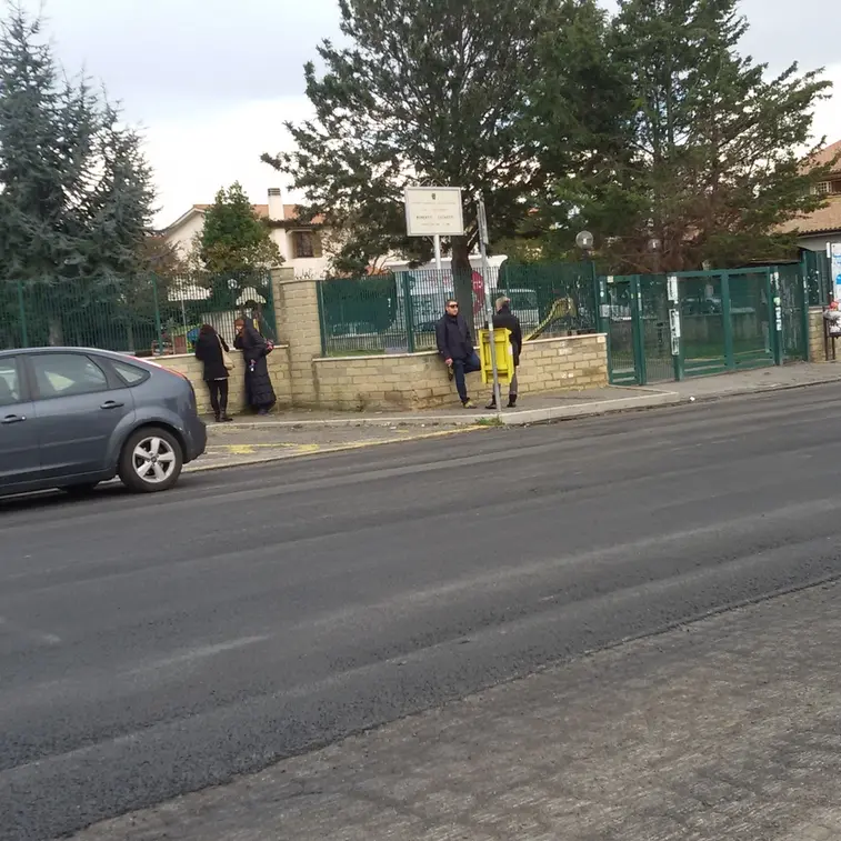 Topi a scuola e cancelli chiusi per i bimbi: scatta la derattizzazione