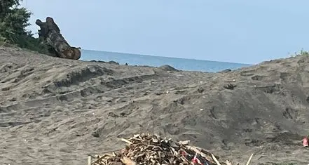«Degrado e pericoli alla Marina: legname, sabbia e rifiuti accatastati ai bordi delle spiagge da oltre un mese»