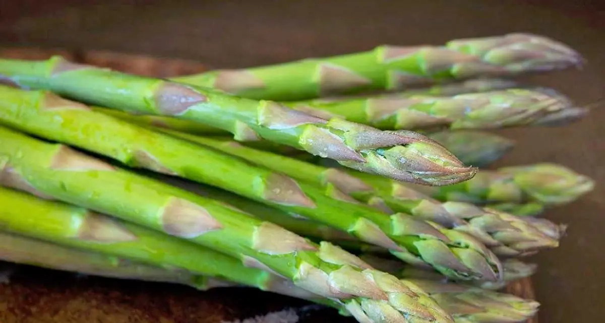 La sagra dell’asparago verde al via