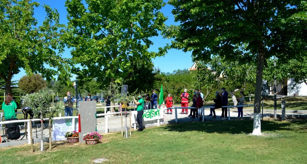 Tarquinia, Semi di pace festeggia il primo anniversario di attività del gruppo di auto mutuo aiuto