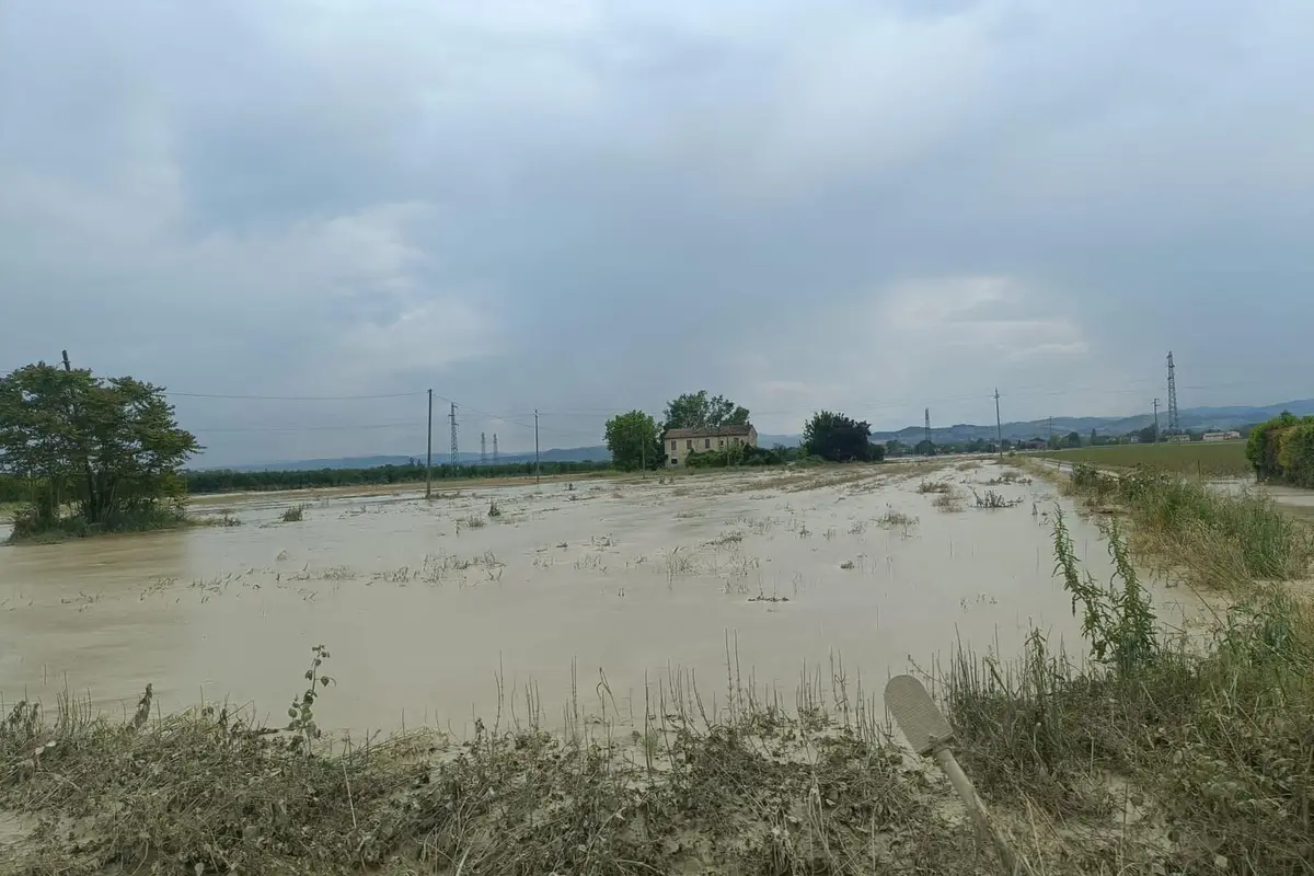 Emergenza Emilia Romagna, la Protezione civile Avalon a Forlì per aiutare gli alluvionati
