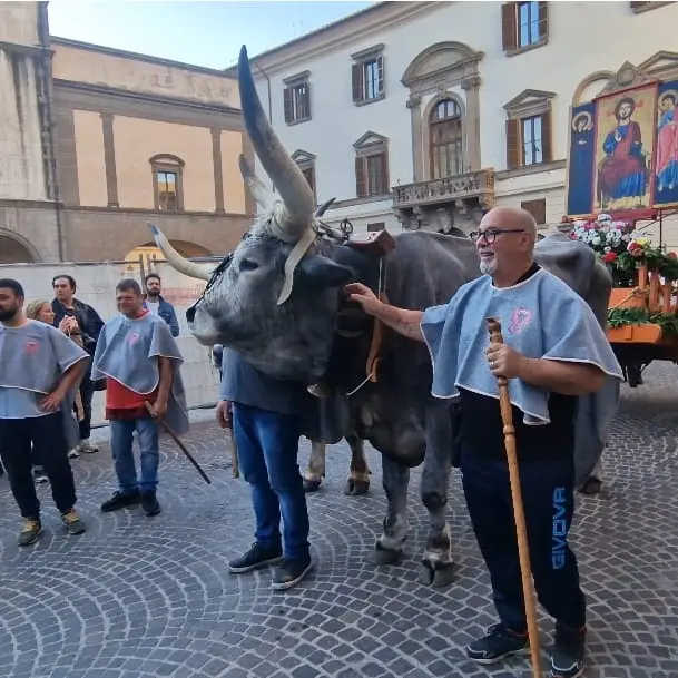 Santissimo Salvatore, la tradizione si rinnova