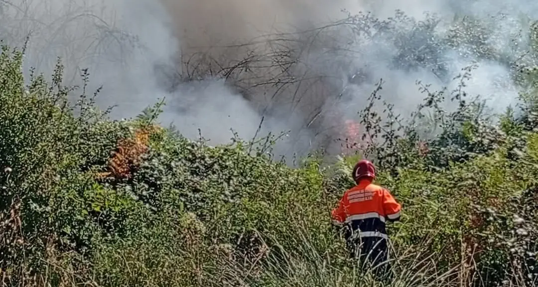 Incendio tra Tarquinia, Allumiere e Tolfa: in azione vigili del fuoco, volontari e Canadair