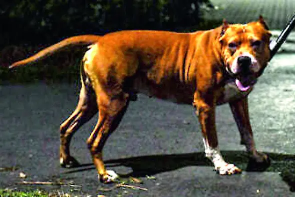 Immagine di repertorio