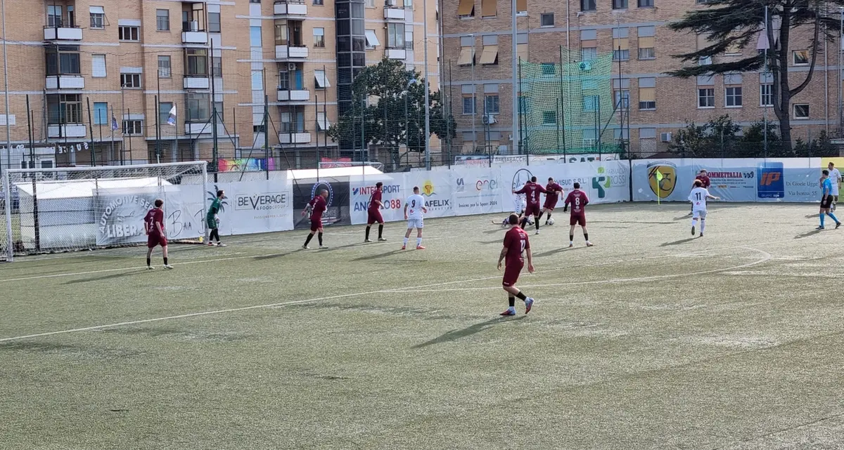 Il Dlf domina e fa suo il derby con la Dm84