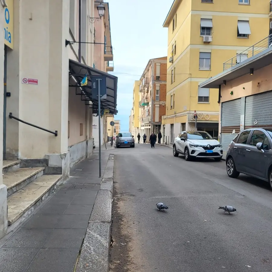 Mercato, zoppica l’apertura festiva: c’è chi non ha potuto lavorare