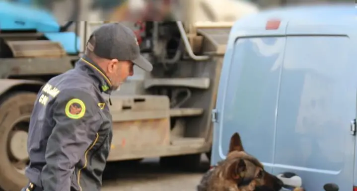 Il fiuto del cane della Finanza incastra un pusher