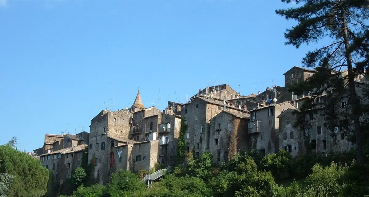 Noccioleti tagliati a Capranica, indagini in corso ma resta il mistero