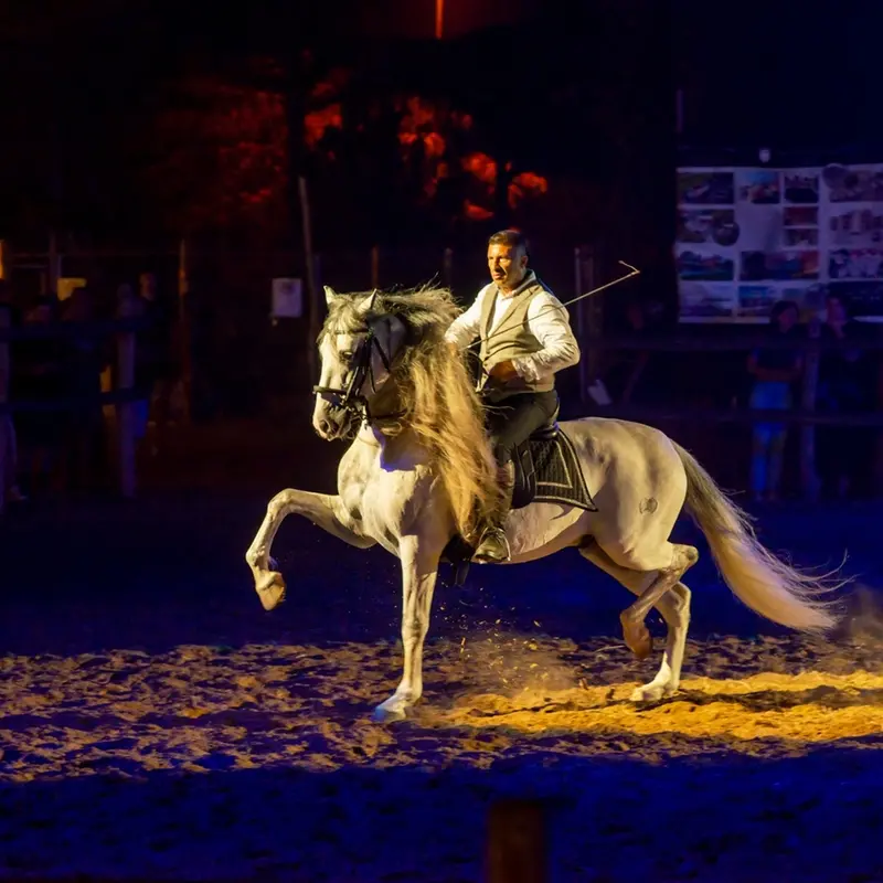 Show equestri e spettacoli, al via la Festa della Maremma