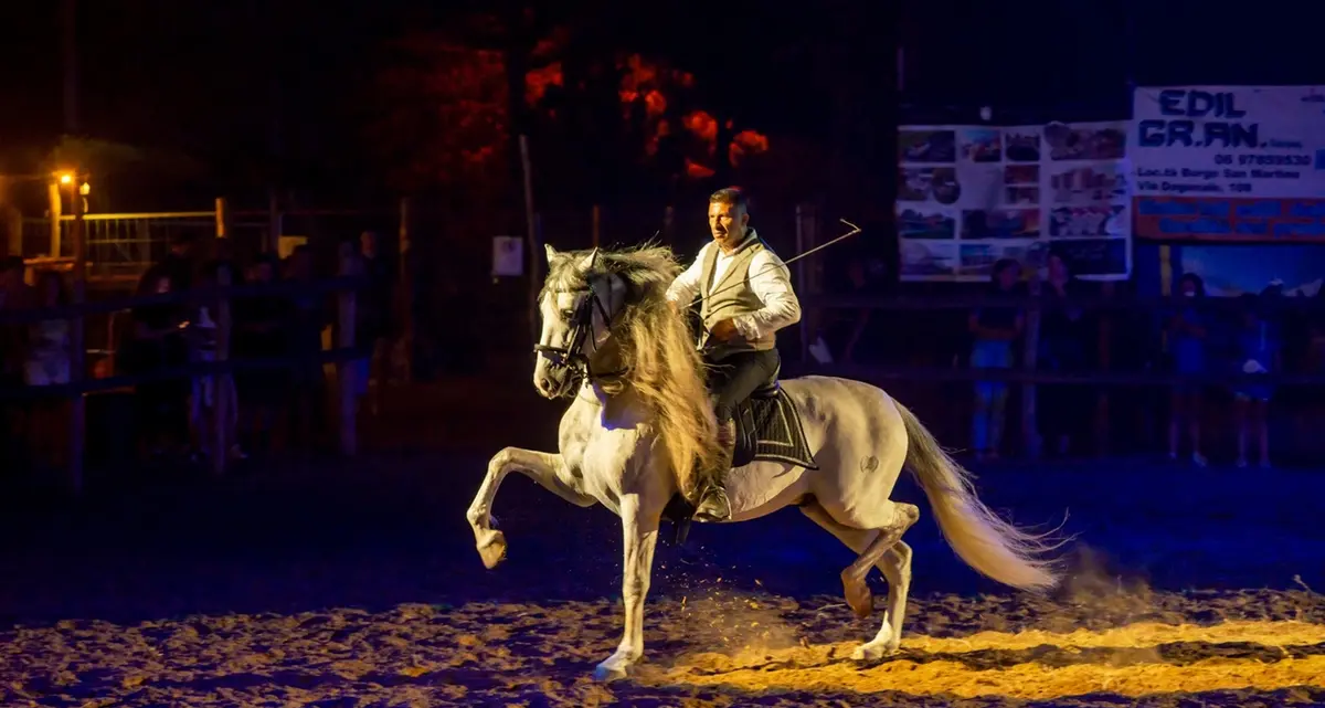 Show equestri e spettacoli, al via la Festa della Maremma