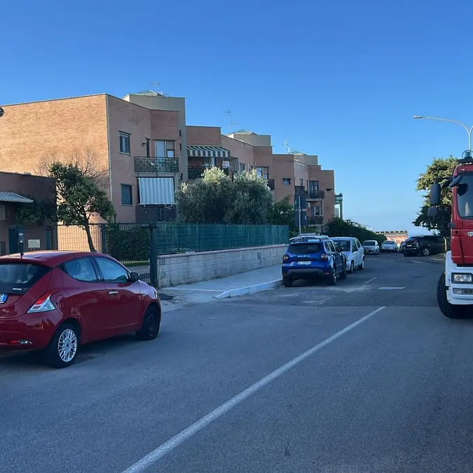 Nido di calabroni a San Liborio, evacuato l’asilo