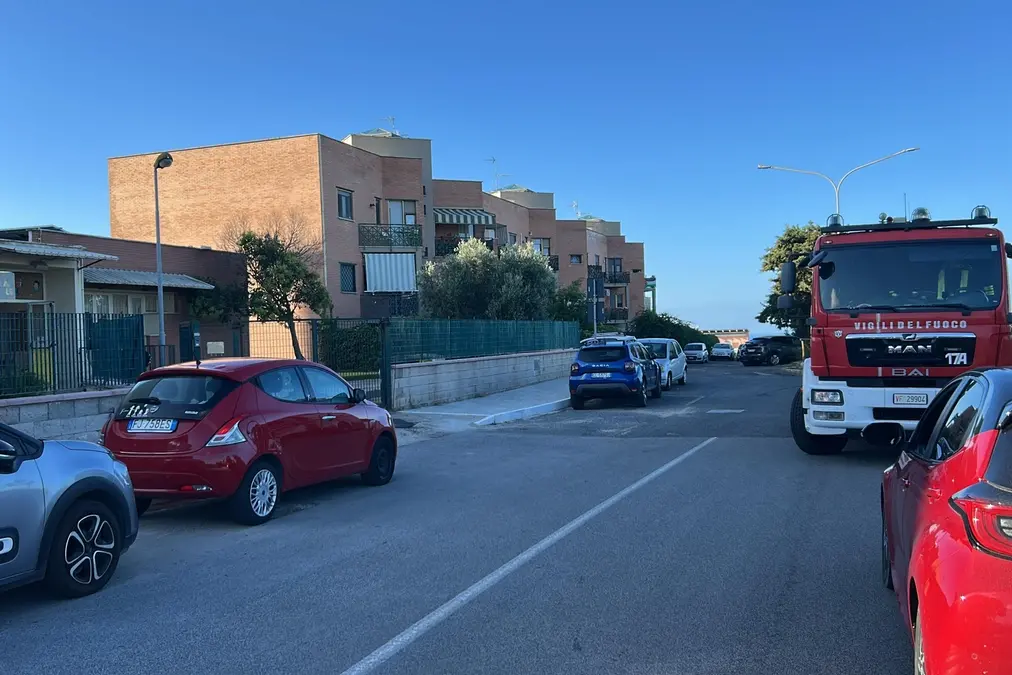 Nido di vespe a San Liborio, evacuato l’asilo