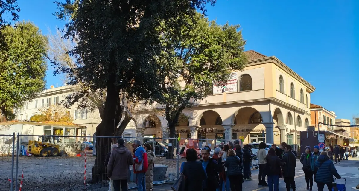 Piazza Regina Margherita, il Pincio tira dritto su abbattimenti e trasferimenti