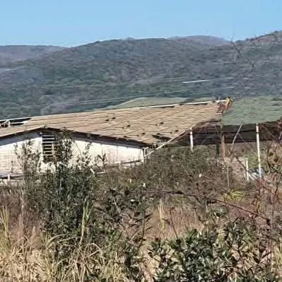 Tragedia in un capannone: pensionato di 77 anni muore schiacciato dal suo camion