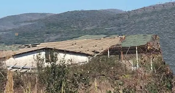 Tragedia in un capannone: pensionato di 77 anni muore schiacciato dal suo camion