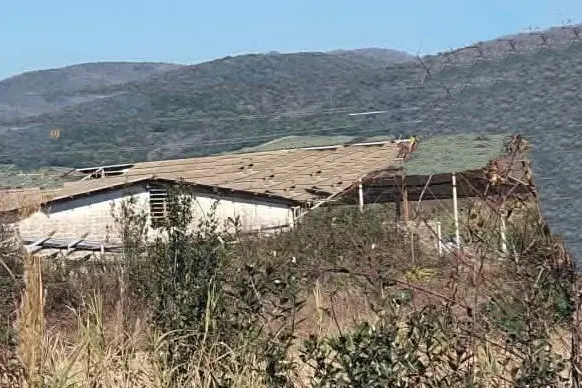 Tragedia in un capannone: pensionato di 77 anni muore schiacciato dal suo camion