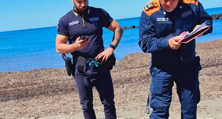 Tartaruga marina “Caretta Caretta” rinvenuta a Tarquinia sulla spiaggia in località San Giorgio