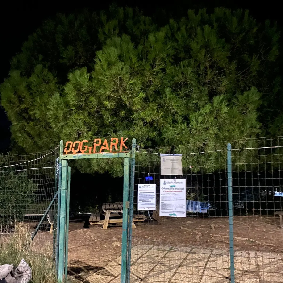Dog park a San Liborio, i residenti si appellano al Sindaco